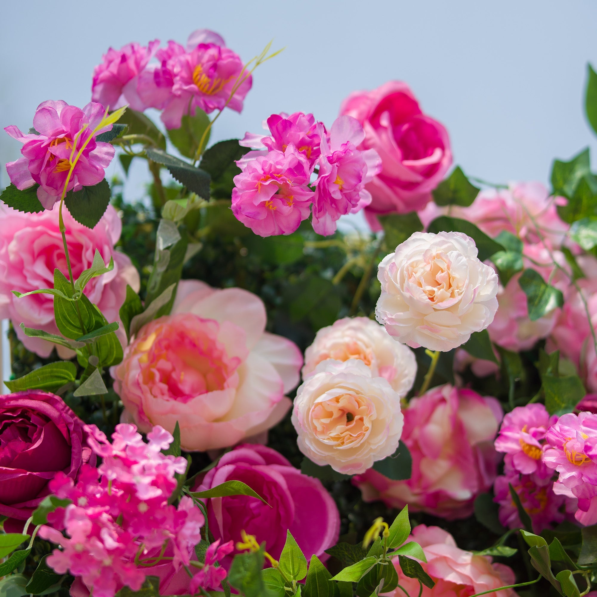 Radiant and Enchanting Multishade Pink Flower Backdrop by ValarFlowers A Vivid VF-325