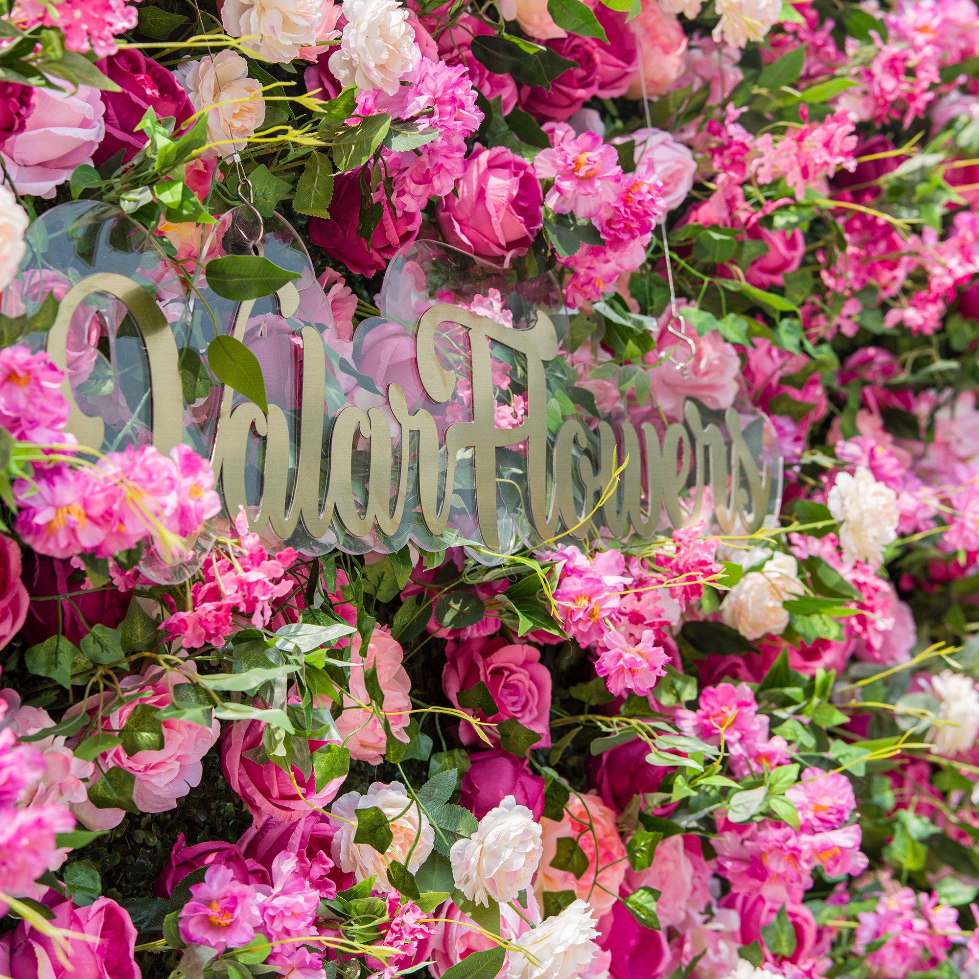 Radiant and Enchanting Multishade Pink Flower Backdrop by ValarFlowers A Vivid VF-325